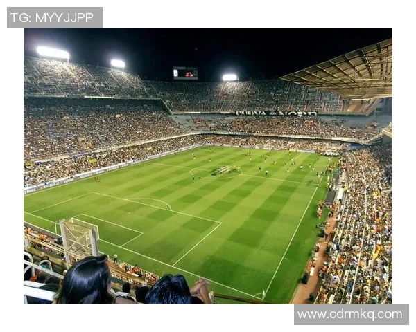 以世界最出名的足球巨星为中心探讨他们在绿茵场上的辉煌与影响