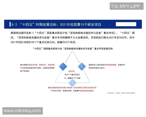 聚焦世界足球国家队球星成长之路与辉煌成就全景解析