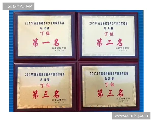 北京网球队总决赛个人能力分析与表现评估 北京网球队总决赛个人能力分析与表现评估