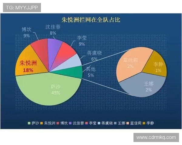 深圳排球队与北京排球队的较量分析与战术解读 深圳排球队与北京排球队的较量分析与战术解读