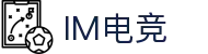 IM(股份有限公司)电竞-电子竞技平台