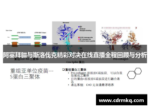 阿塞拜疆与斯洛伐克精彩对决在线直播全程回顾与分析